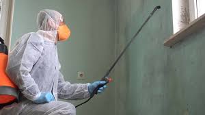 Best Mold Prevention Services  in Pegram, TN