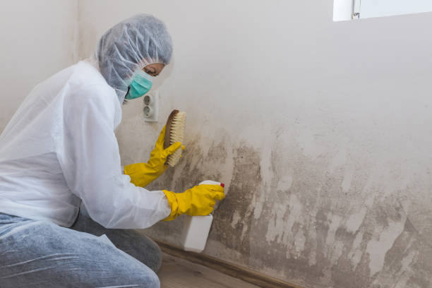 Best Asbestos and Lead Testing During Mold Inspection  in Pegram, TN