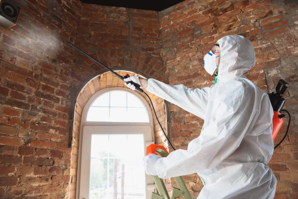 Mold Remediation for Vacation Homes in Pegram, TN