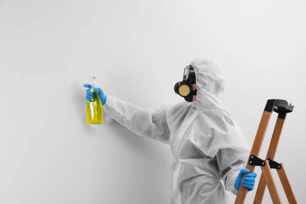 Mold Removal & Remediation